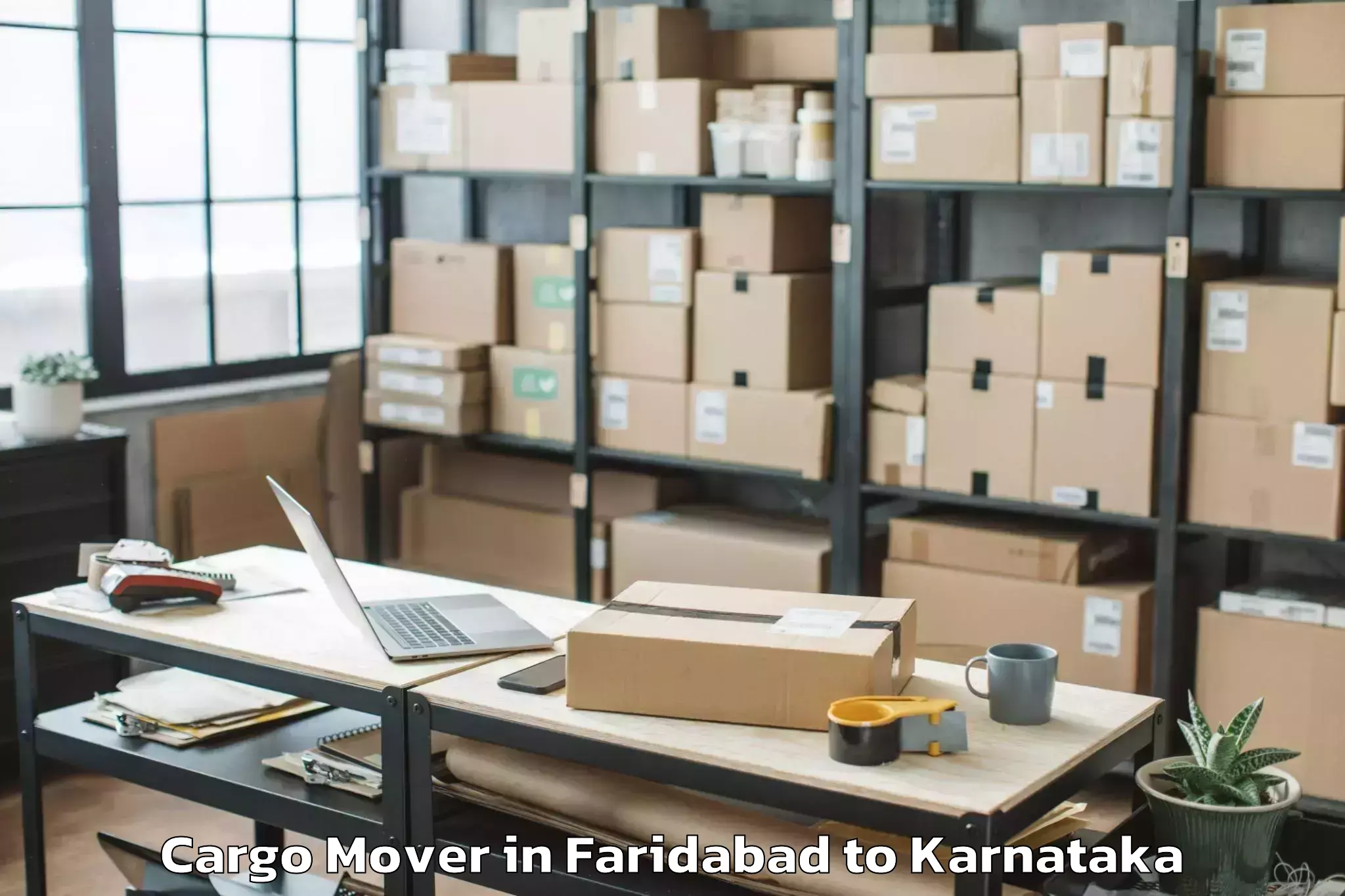 Book Faridabad to Hiriyur Cargo Mover